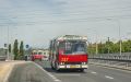 Czytaj więcej: Noc Muzeów 2016