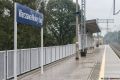 Czytaj więcej: Warszawa Mokry Ług
