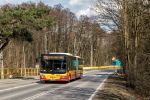b_150_150_0_00_images_bus_3402.jpg