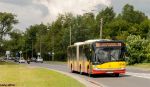 b_150_150_0_00_images_bus_8541_186_Marywilska.jpg
